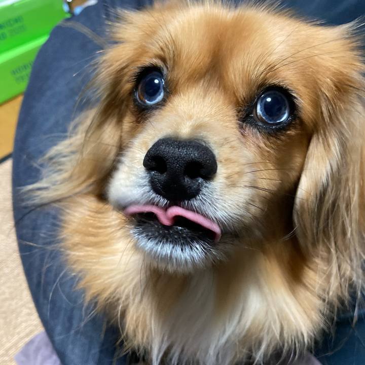 766fe537 2a39 4be8 83f6 acefcdc12eb6 1575063408076