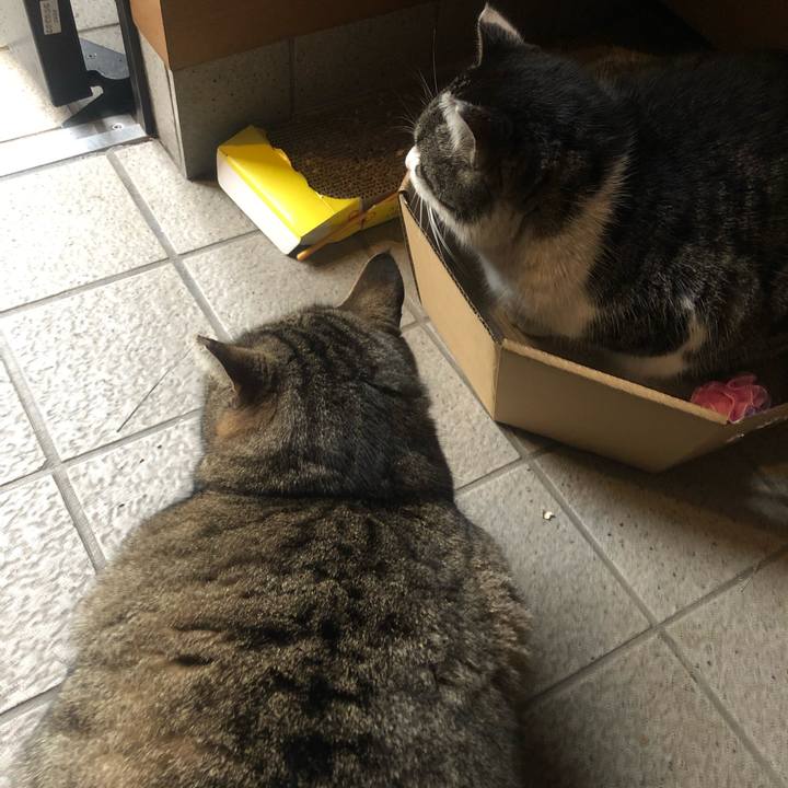 766ff623 6f42 4910 b116 3f945039cf5e 1551343023550