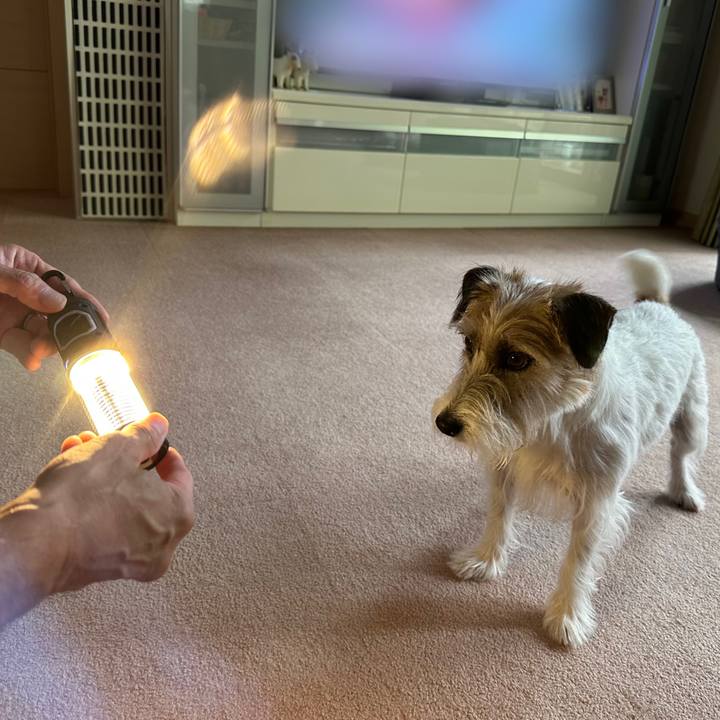 766ff66d 6717 48ca b154 fec0292ee508 1691299161216