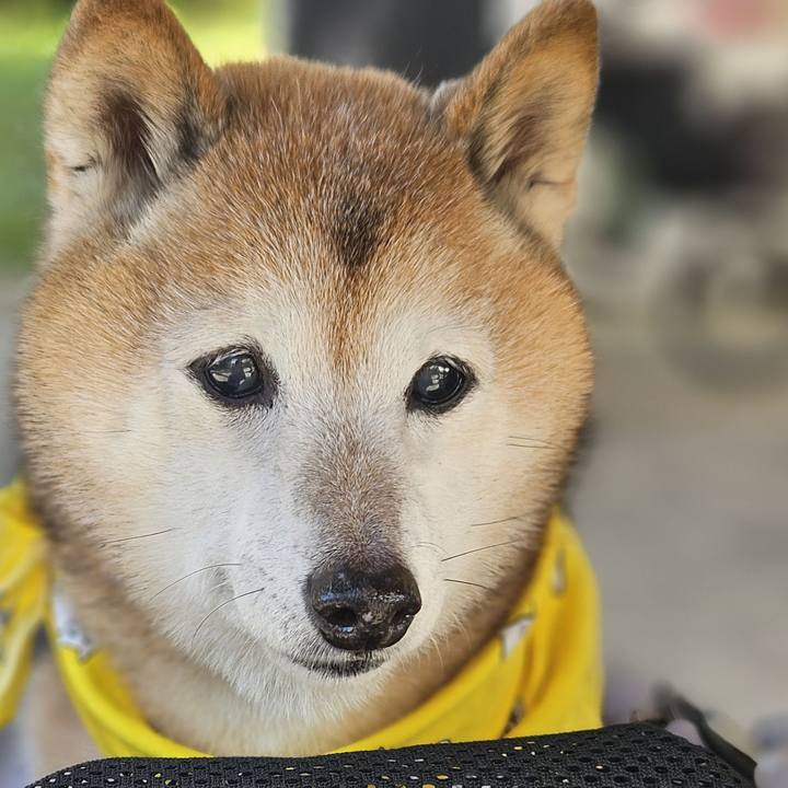 76702ee5 04ee 49e7 a2ec 9dcc7ff624e7 1764057003693