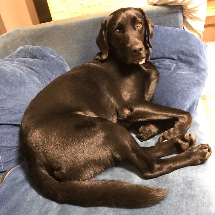 76703271 4eb3 4169 a918 c9e114f95340 1566993306371