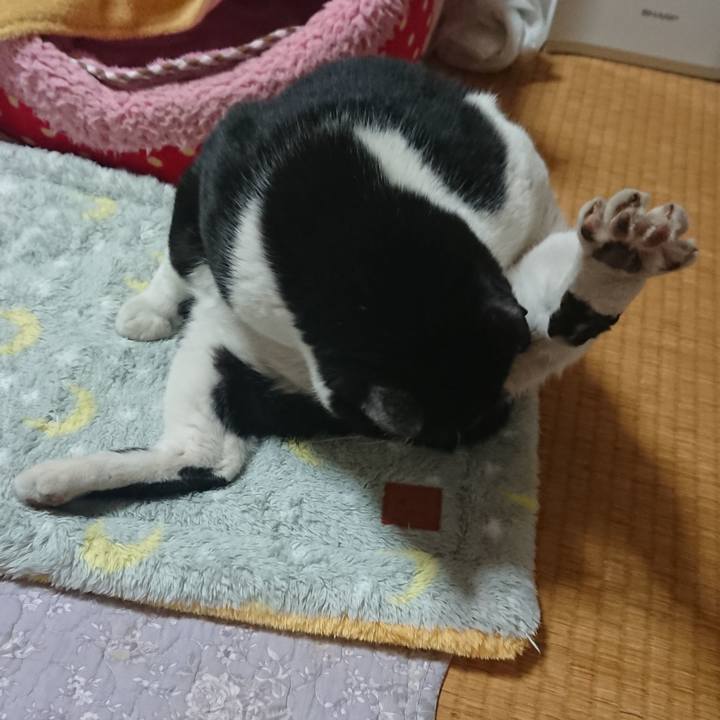 7670680d 8a56 42fd b949 b2631aeca376 1548809722900