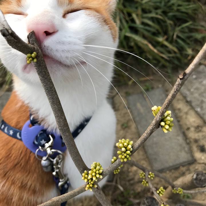 76706c67 356f 408b 9e62 1b274b492242 1522738146836