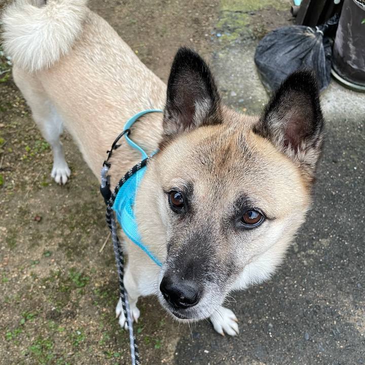 76706d45 9735 4775 bb7d 313cfa26bf46 1729086013905