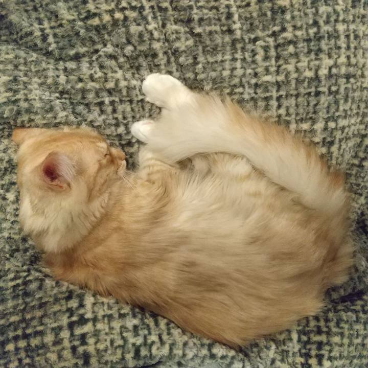 7670718e ebfc 4189 ac48 c49e601b4a3a 1613210343855