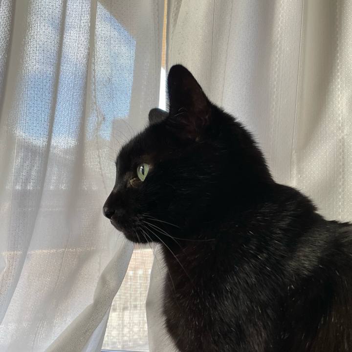 76707e9b 4794 4988 9982 a230d0d84a46 1643682655649