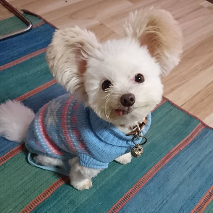 76709ebe cd42 4de0 8bc0 00fb3e8b20f2 1573116552094