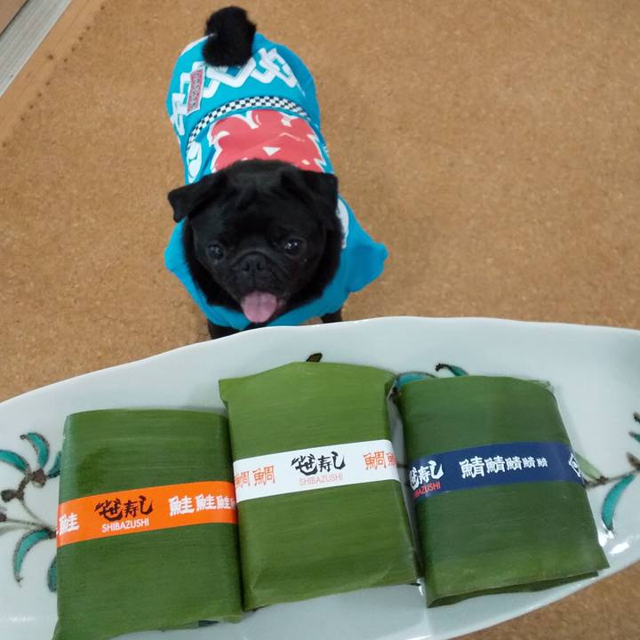 7670d395 584d 404e 902b df81cbef0f58 1565148756400