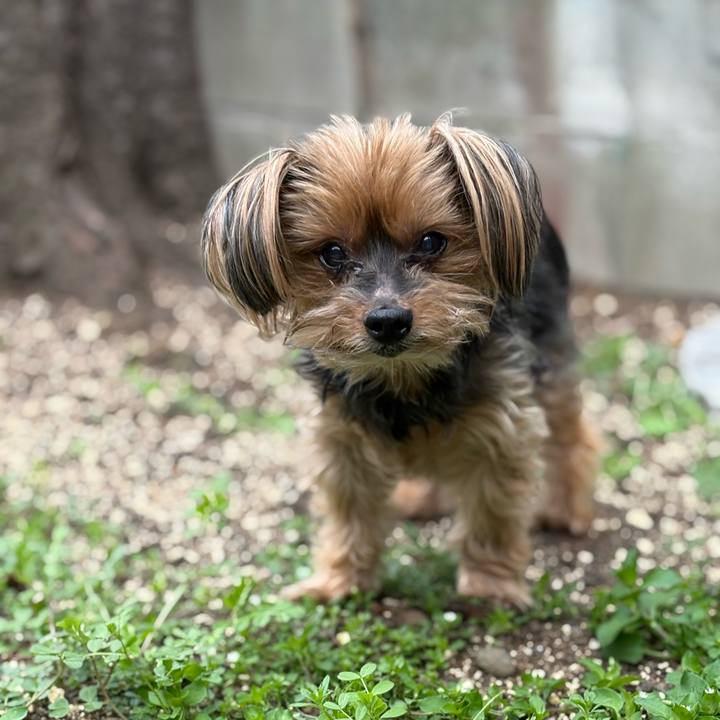 7670f5b1 2138 49f9 9670 34d798710bd6 1774149130875