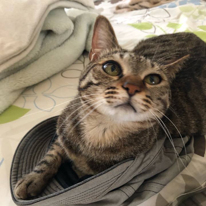 7671026f 4a67 46c4 a5e5 4ebda13ccf0f 1526275008637