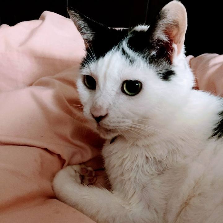 76710a9f 6c56 4ce1 9d7b 5d0b447903d8 1635677101004