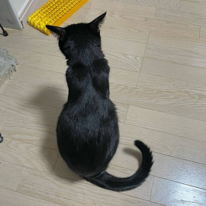 76711568 9340 44dc 87ab 1cdcfd301e2d 1728998248630