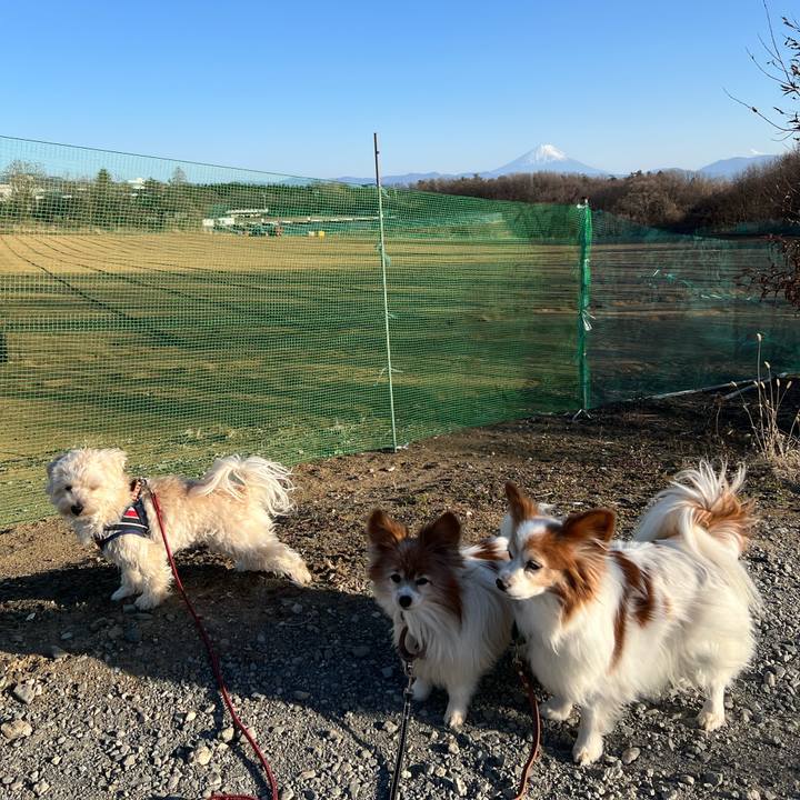 767140ee 5707 4d93 aeb5 ab7c2f6a5d2d 1772020628274