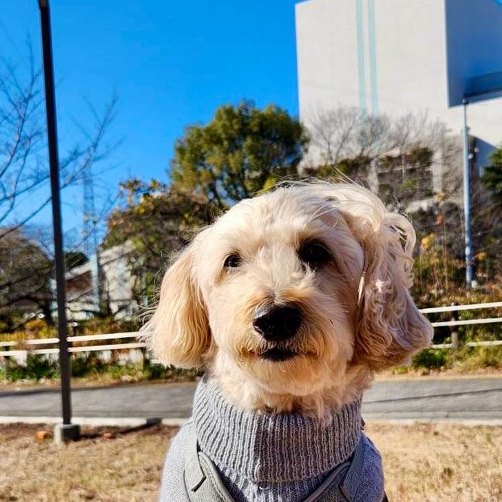 76715d3f 4330 478d 9236 ad1f6eee926b 1766028921445