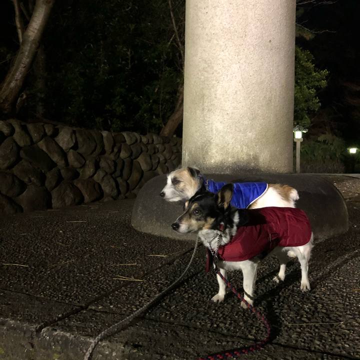 76717863 3a8d 41e3 a4c9 1596636b3a69 1579644938294