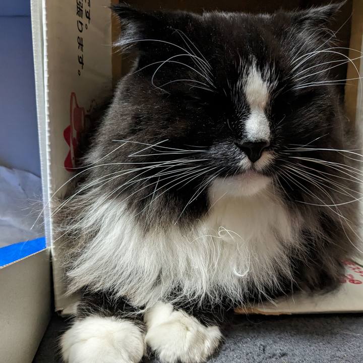 7671938b 160f 4081 83d4 1edff0a0544a 1705219454770