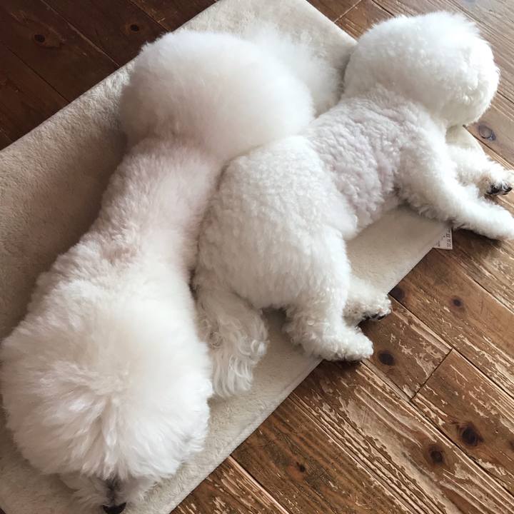 76719c6b f638 4e44 a4b6 6a0d7a4b6ddd 1583883782724