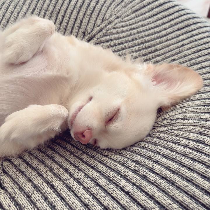 7671a0dd 528c 4cb1 bf35 3705528b169e 1695205235277