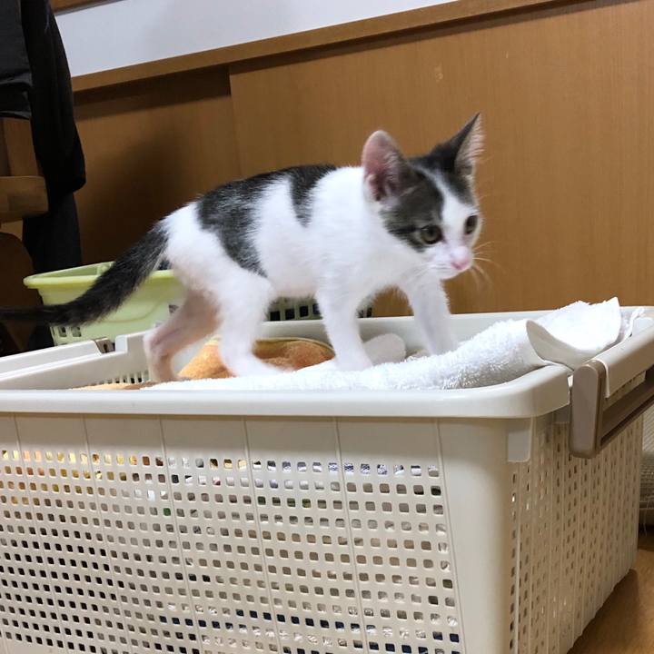 7671b6dd f88b 437e bd87 1bd45f3e2429 1562760775885