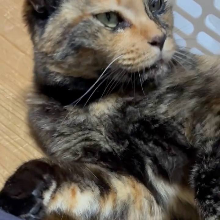 7671e8a8 2fc6 4ef8 b8b1 7e1d69be0ff3 1750968709911