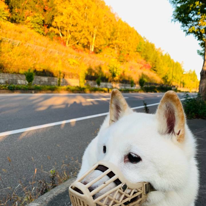 7671f48e 8252 4067 b5d4 2204e80cbe43 1634076282305