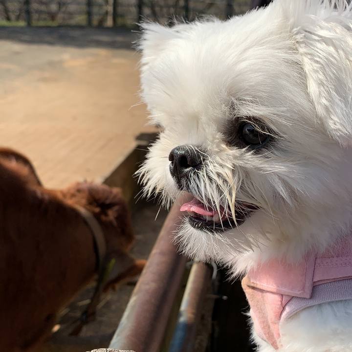 76721476 4d95 450e bd69 9bc740685a11 1635926831128