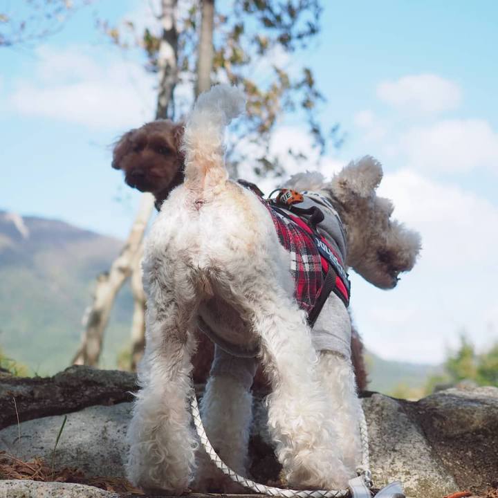 76721f7c 9259 475f 96af 939a4ae28715 1572949677469