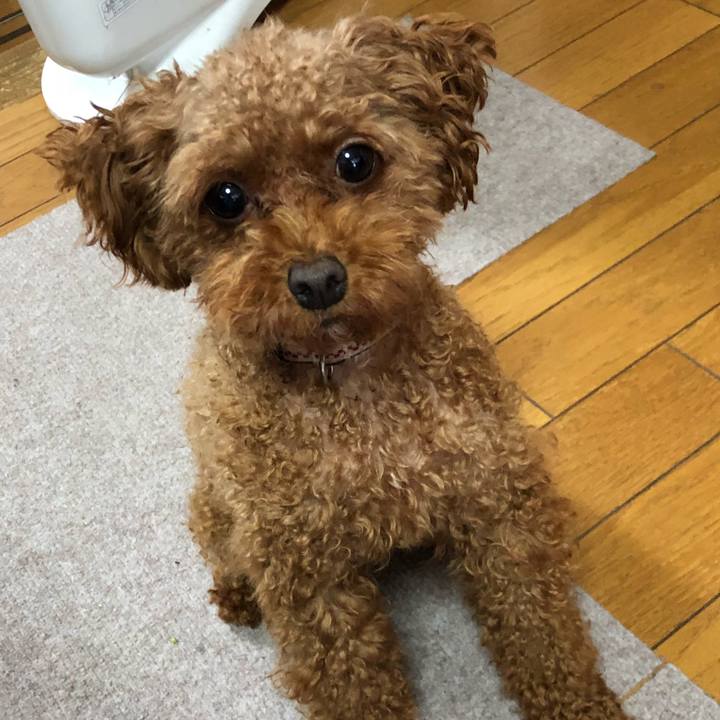 76724c3c fc42 4f08 b26f b63e9cb8a313 1535669002080