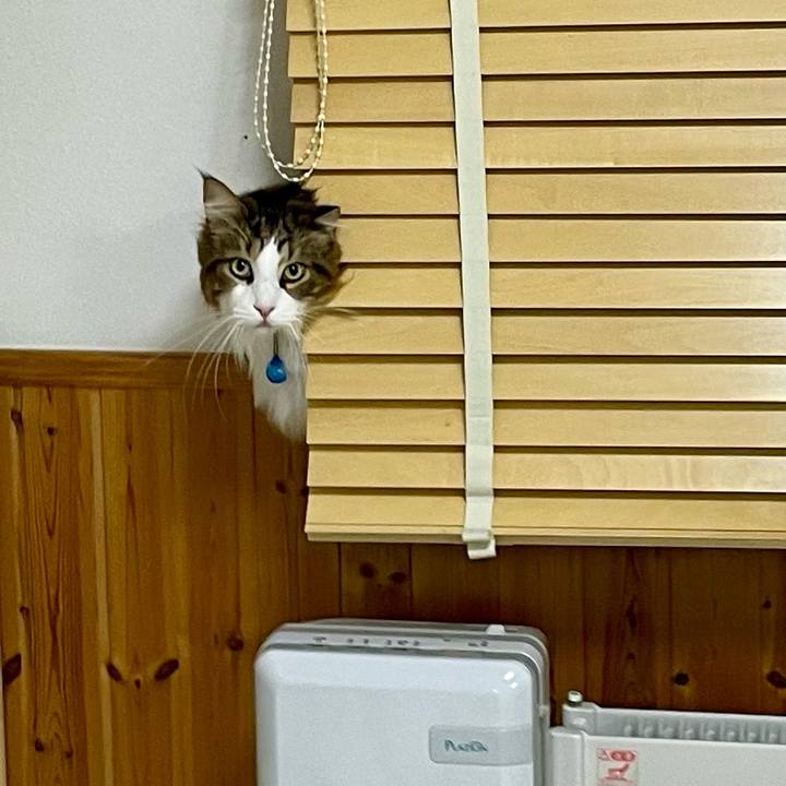 76724dca 6d32 4d26 a910 49e2bad07c00 1706991952078