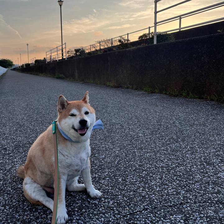 76725b25 ebfd 4844 96a3 242beafeceac 1718530791309