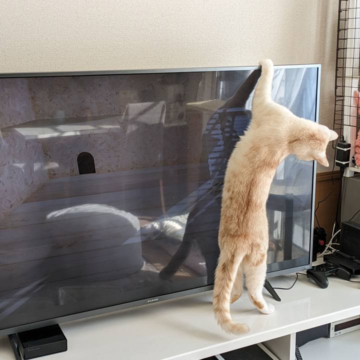 76725c6e 657f 4ac9 9050 a81e0fc360a0 1698032497499