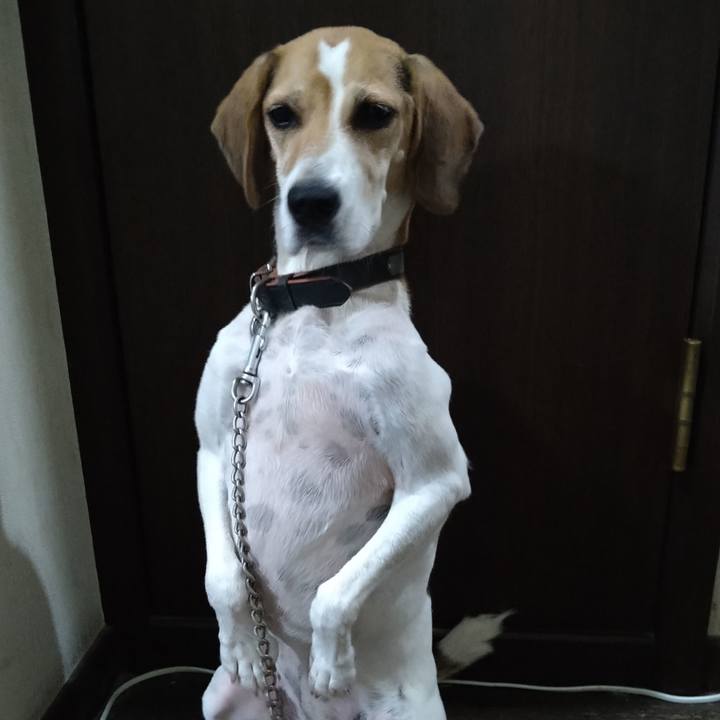 76728464 eb41 456f b165 3c4a10bafbdb 1665202845150