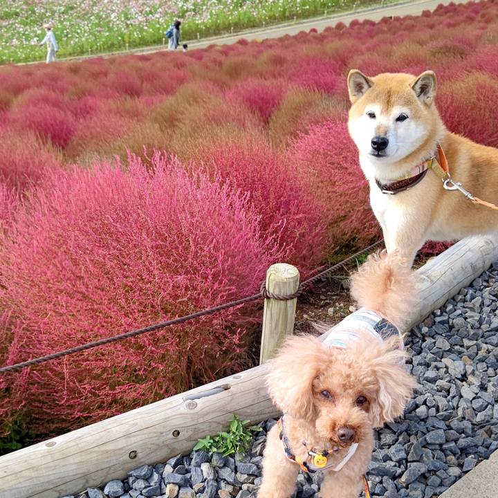 767295f1 61de 4dbe aa01 213c943b536b 1603181174788