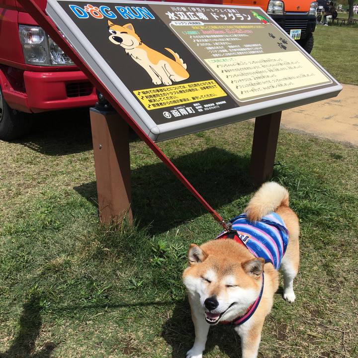 7672c31b 58d4 41ed 9e15 dd954361b40a 1620540756079