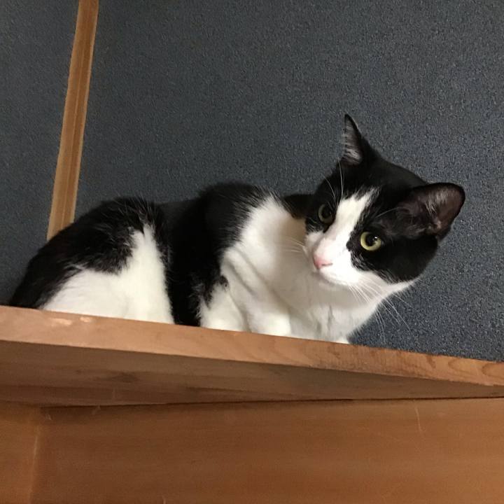 7672d95a 830a 42ed 8e59 a97050615d33 1754999736380