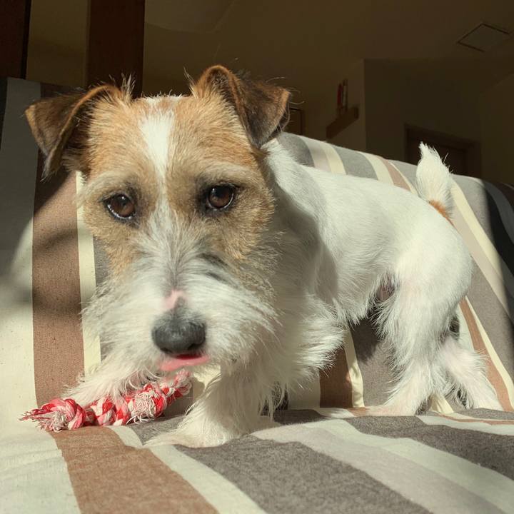 7672ea85 a24d 44b3 af9e ba8803d76480 1579564714514