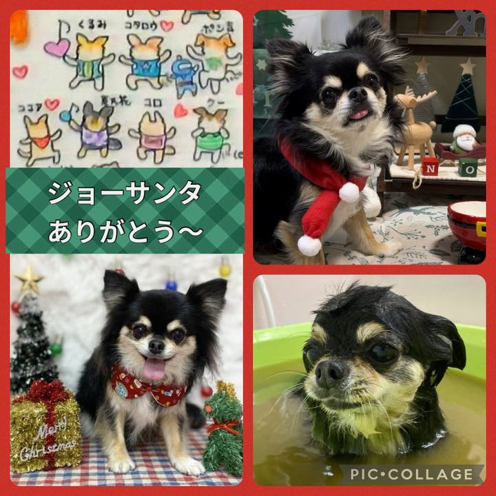 7673223e 0dce 4cf1 b186 eb4674bff70f 1703513440534