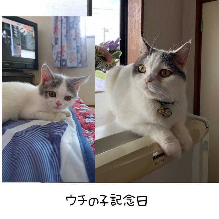 76735a60 f418 444c a758 4e74da2fd67f 1620298042536