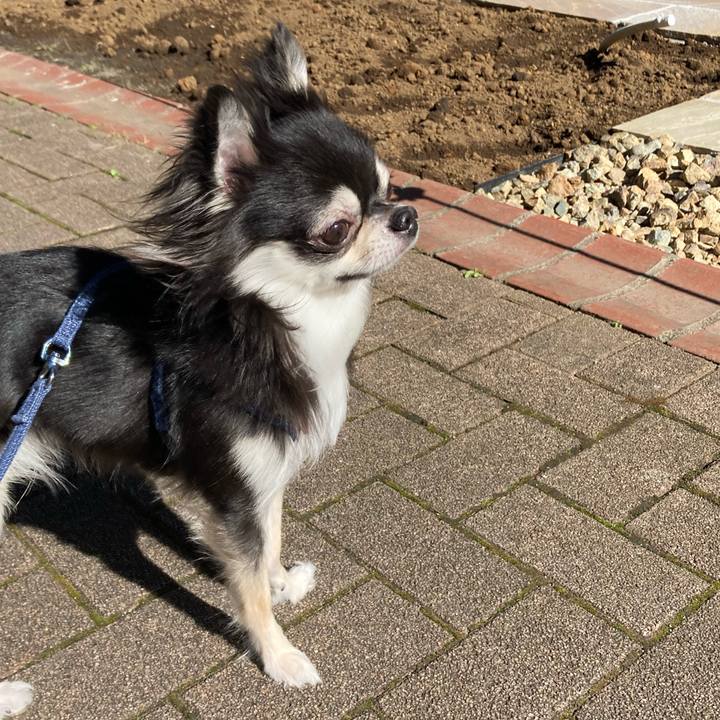 76738310 4a6b 4e32 9b31 abffceb05fb0 1634997273954