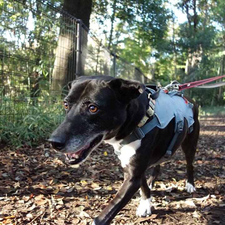 76739bd4 b08b 4e70 912e 2bc7ea3271c5 1732237905366