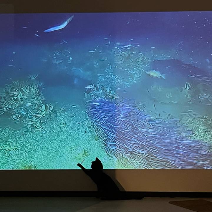 7673b319 b3bd 4c66 b16e 84402fde40b3 1765108897364