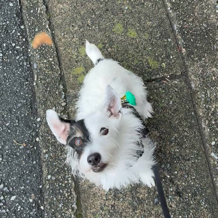 7673c6ef 43fc 4eeb b6a7 c96bb795d56e 1758238649925