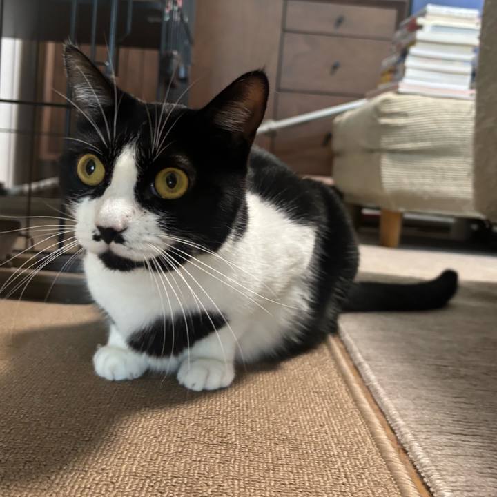 767450a8 660e 4b4b 8b04 e6484f24704e 1758761976534