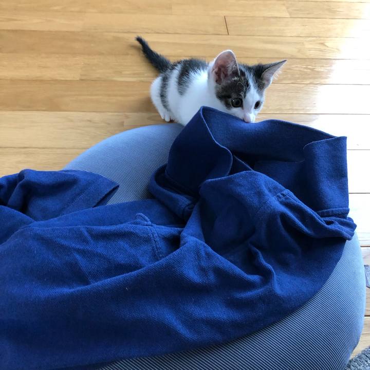 76745d83 eaca 45fb bc94 104f504cade1 1562023264424