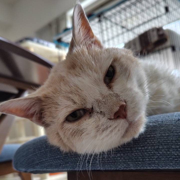 76749595 9ceb 470b 8603 6731ad8c1b70 1754518156336