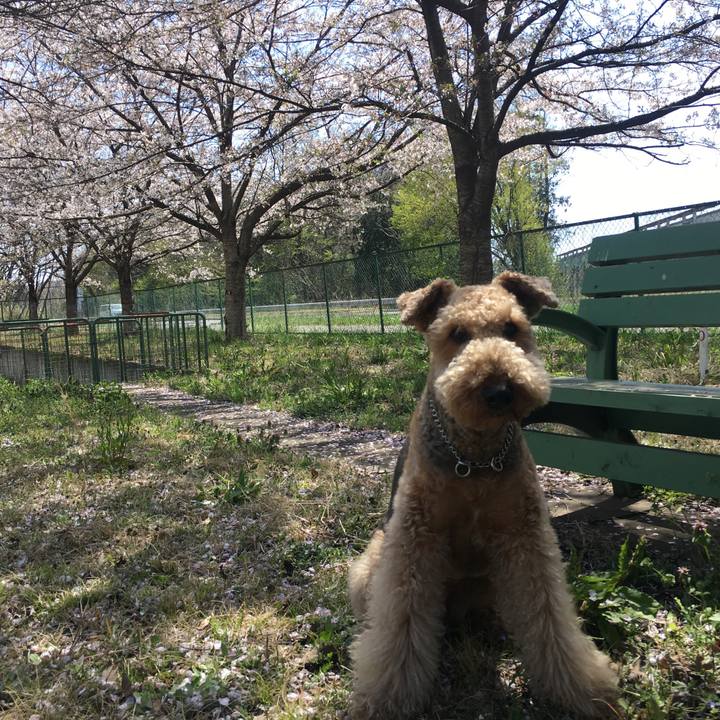 7674c84a 3a74 4fd3 a712 63a94e83e48c 1554804524859