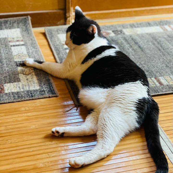 767505b4 60c7 4c62 bb12 96a1fd79c911 1655084234625