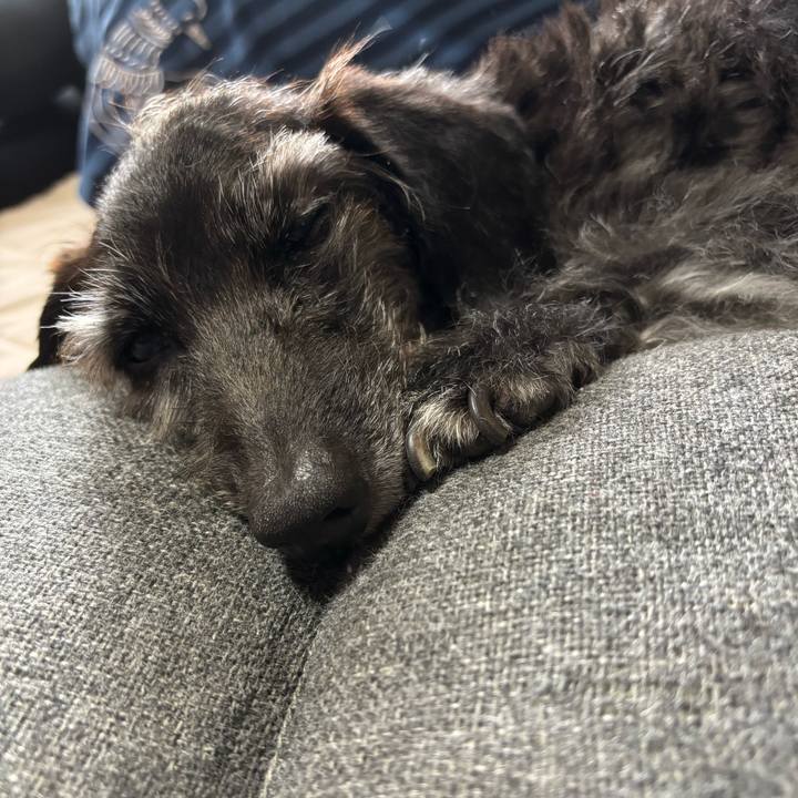 76754044 e7a2 4a58 961f 9d5ae9f7d28f 1756182007757