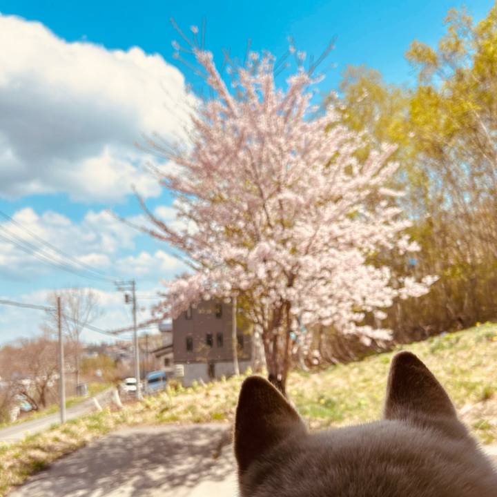 767548ff 5a93 44ae b671 06521adb78ad 1682890093197