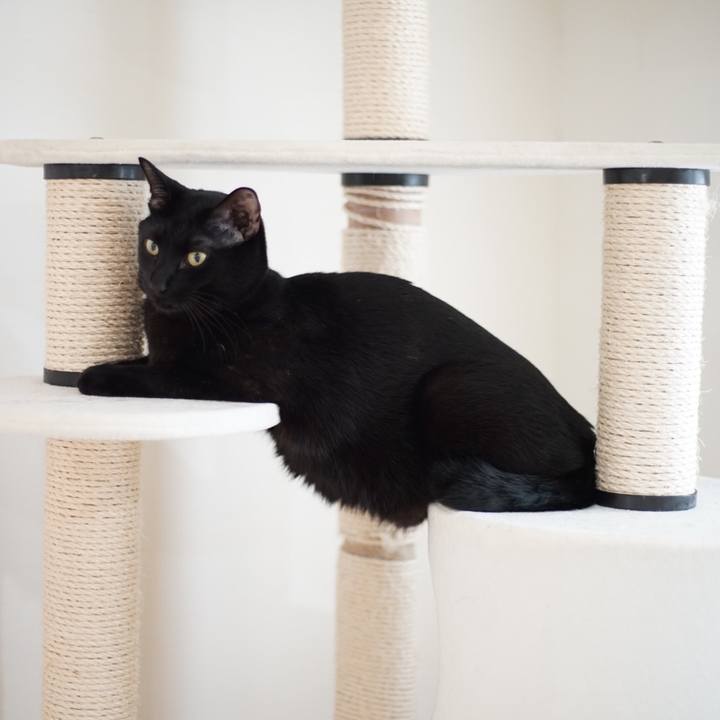 767556f3 96cc 4de9 97b3 1bac16d2117f 1515327646486